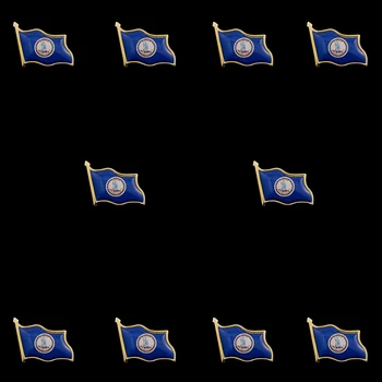 10ШТ Брошь-булавка с флагом штата Вирджиния, Металлический Значок, Национальный Патриотизм, Коллекционные Эмалированные булавки, украшения